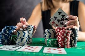 dbbet
