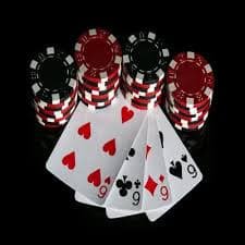 dbbet